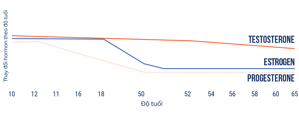 vn-chart.png
